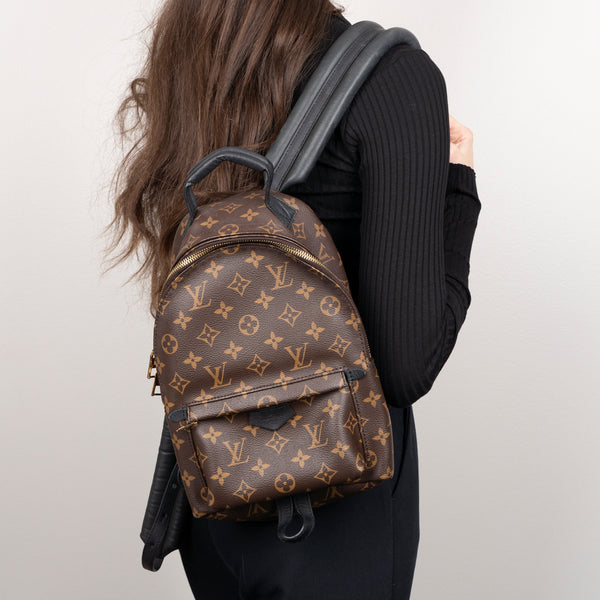 Pre-Owned Louis Vuitton Monogram Palm Springs PM Backpack