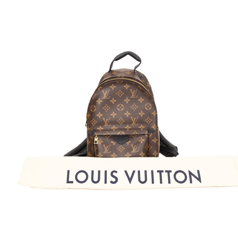 Pre-Owned Louis Vuitton Monogram Palm Springs PM Backpack